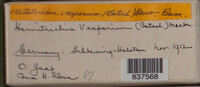 Image Associated With the Occurence